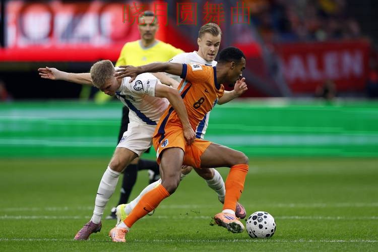 世界杯买球平台荷兰赛事热度为什么这么高 世界杯买球平台荷兰赛事热度为什么这么高